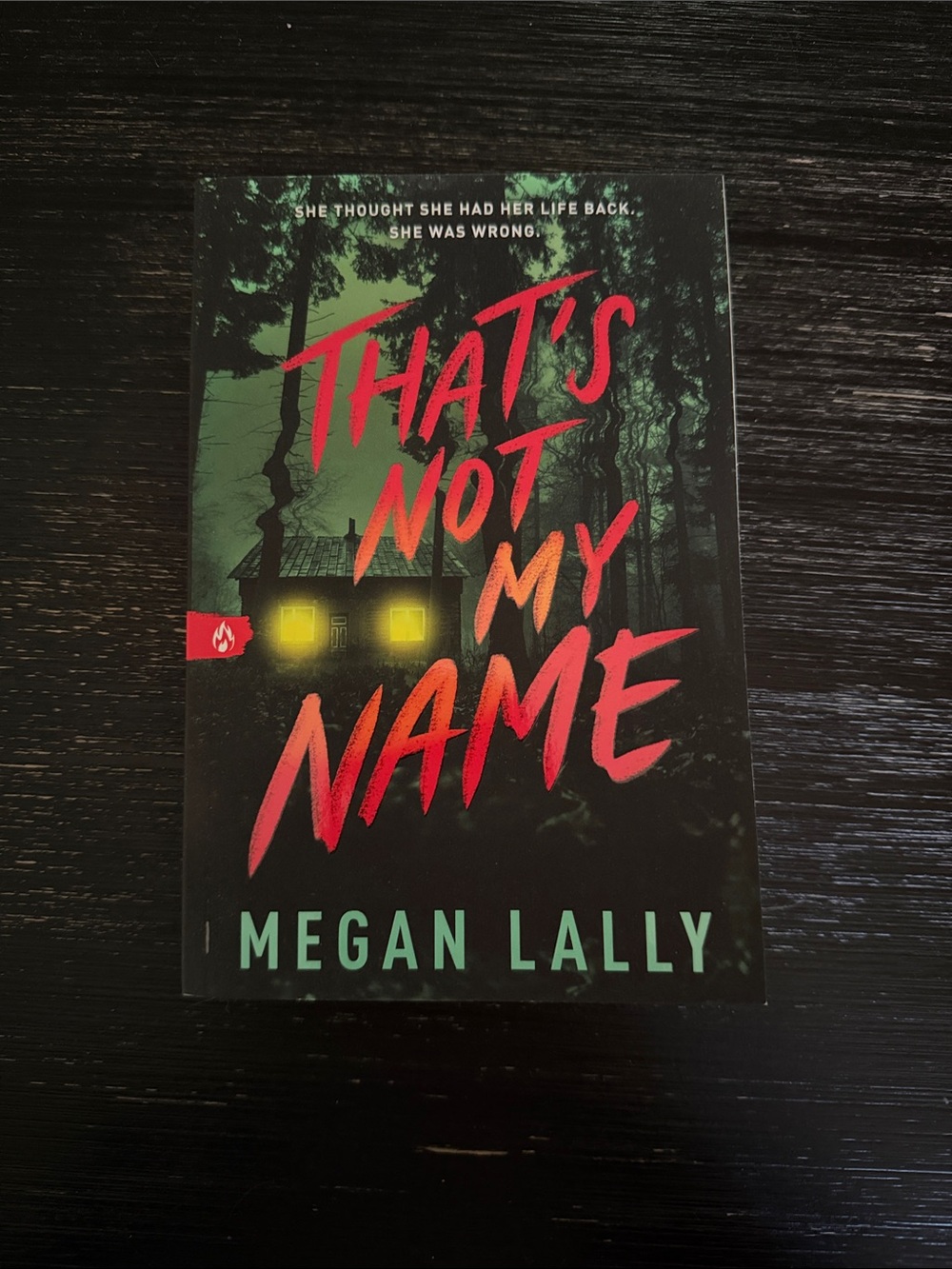 That's Not My Name by Megan Lally - Black & Green Cover with Red Title